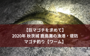 【巨マゴチを求めて】2020年秋 茨城 鹿島灘の漁港・堤防でマゴチ釣り