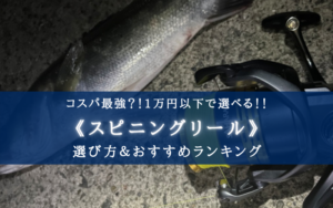 【2024年】1万円以下！スピニングリール おすすめ10選＆選び方まとめ【コスパ最強】