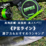 【2024年】PEライン おすすめランキング&選び方まとめ【高飛距離・高コスパ!】