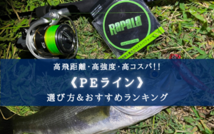 【2024年】PEライン おすすめランキング&選び方まとめ【高飛距離・高コスパ!】