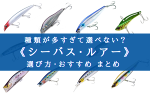 【2024年】シーバス ルアーおすすめランキング・選び方 徹底解説【初心者でも使いやすい!】