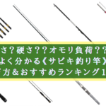 【2024年】サビキ釣り竿 おすすめランキング【長さ？硬さ？選び方も簡単！】