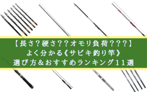 【2024年】サビキ釣り竿 おすすめランキング【長さ？硬さ？選び方も簡単！】