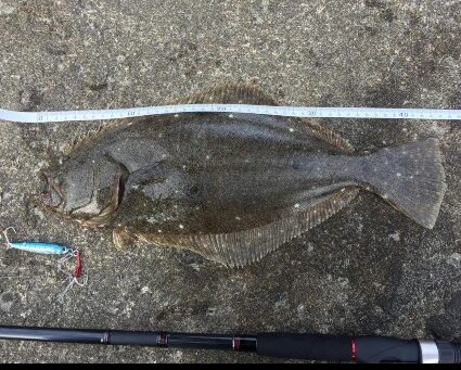 22年 ヒラメ特化ルアー おすすめランキング厳選 選び方まとめ コスパ 実績抜群 シアターカミカゼ