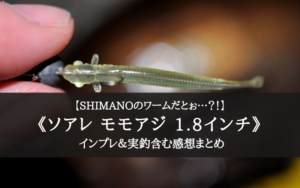 【刺しにくい以外完璧！】シマノ ソアレ モモアジの実釣インプレ評価まとめ