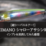 【表層シーバス!】シマノ シャローアサシンの実釣インプレ評価【根掛かり皆無!】