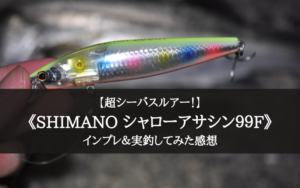 【表層シーバス！】シマノ シャローアサシンの実釣インプレ評価【根掛かり皆無！】
