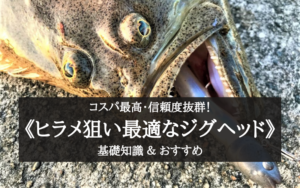 【2025年】コスパ最高！ヒラメ用ジグヘッド おすすめ11選・選び方まとめ