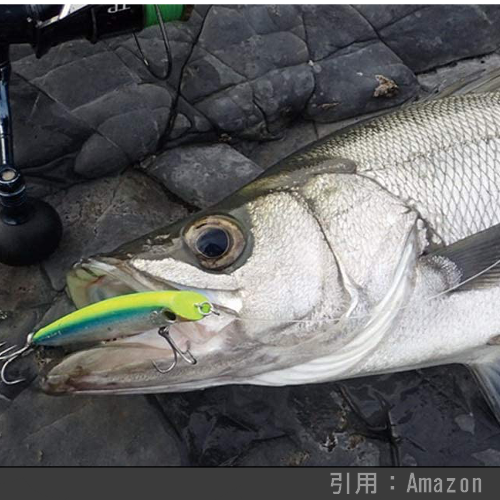 22年 最新機能搭載 シマノ Shimano のシーバスルアー おすすめ17選 潜行水深別