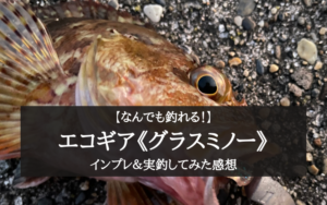 【なんでも釣れる!】エコギアのグラスミノー 【インプレ&実釣感想記事】