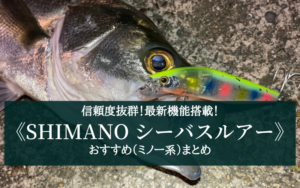 【2025年】最新機能搭載！シマノ(SHIMANO)のシーバスルアー おすすめ17選