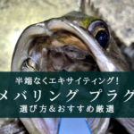【2025年】メバリングプラグ おすすめランキング17選【コスパ最強&選び方徹底解説!】