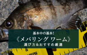 【2025年】メバリング特化ワーム おすすめランキング17選【基本中の基本!】