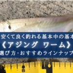【2024年】基本!アジング ワームおすすめランキング⑪【コスパ最高&めっちゃ釣れる!】