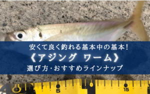 【2024年】基本!アジング ワームおすすめランキング⑪【コスパ最高&めっちゃ釣れる!】