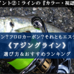 【2024年】アジングラインおすすめランキング⑫&選び方まとめ【高強度&高コスパ!】