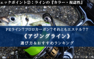 【2024年】アジングラインおすすめランキング⑫＆選び方まとめ【高強度＆高コスパ！】