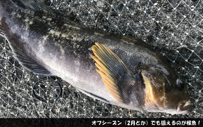 ジグヘッド 赤針 21ｇ 3個 バス シーバス チヌ クロダイ ヒラメ コチ ロックフィッシュ 根魚