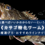 【2024年】カサゴ特化ワーム おすすめランキング16選&選び方まとめ【コスパ&高実績!】