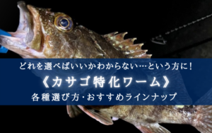 【2024年】カサゴ特化ワーム おすすめランキング16選＆選び方まとめ【コスパ＆高実績！】
