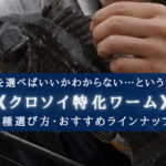 【2024年】クロソイ特化ワーム おすすめランキング16選&選び方まとめ【コスパ&高実績!】