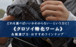 【2024年】クロソイ特化ワーム おすすめランキング16選&選び方まとめ【コスパ&高実績!】