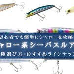 【2025年】シャロー（浅瀬）系 シーバスルアーおすすめ10選！【水深30㎝でも使える！】