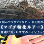 【2024年】マゴチ特化ルアー おすすめ18選&選び方まとめ【コスパ&実績抜群!】