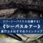 【2025年】リバーシーバス おすすめルアー ランキング⑮【初心者でも使いやすい一軍ルアー!】