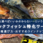 【2024年】ロックフィッシュ特化ワームおすすめランキング厳選⑳【コスパ最高!】