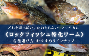 【2024年】ロックフィッシュ特化ワームおすすめランキング厳選⑳【コスパ最高!】