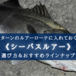 【2024年】アミパターンのルアー おすすめランキング11【難攻不落の春シーバス攻略】