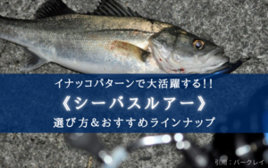 【2024年】イナッコパターン おすすめルアー10選【シーバスのボイルを逃さない!】