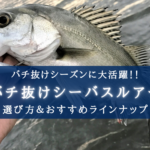 【2024年】シーバス バチ抜けルアー おすすめランキング14選【これだけ持っておけば安心!】