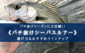 【2024年】シーバス バチ抜けルアー おすすめランキング14選【これだけ持っておけば安心!】