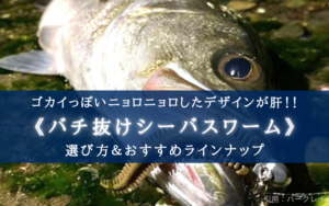 【2024年】シーバス バチ抜けワーム おすすめ７選【これだけ持っておけば安心！】