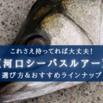【2024年】河口シーバス おすすめルアーランキング10選【これだけ持っておけば安心!】