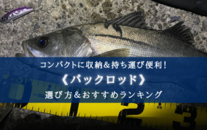 【2024年】パックロッド おすすめランキング【コンパクトに収納&持ち運び便利】
