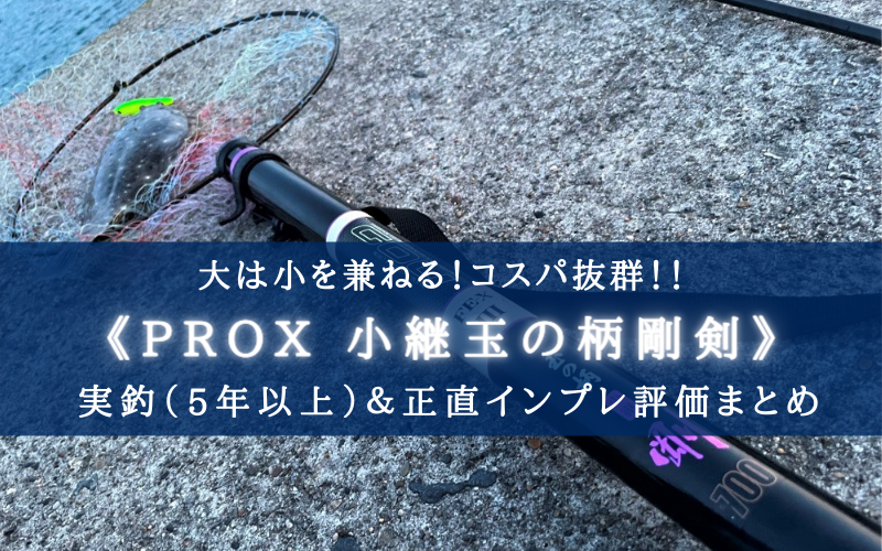 5年以上使える プロックス小継 玉の柄 剛剣の実釣インプレ評価まとめ 足場が高くても安心 シアターカミカゼ