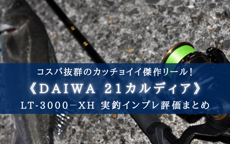 【コスパ抜群！】DAIWA 21カルディア 実釣インプレ評価【デザインもカッコ良い！】
