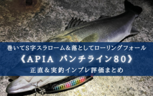 【横縦の二刀流!】APIA パンチライン80 実釣インプレ評価【S字&ゆらゆらフォール!】