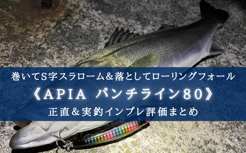 【横縦の二刀流！】APIA パンチライン80 実釣インプレ評価【S字＆ゆらゆらフォール！】