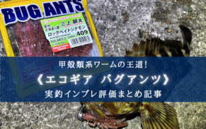 【根魚絶滅注意】エコギア バグアンツこそ甲殻類ワームの至高… 【インプレ評価まとめ】