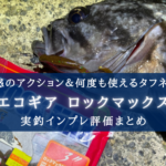 【頑丈かつ素晴らしい泳ぎ】エコギア ロックマックスが強い! 【インプレ評価まとめ】