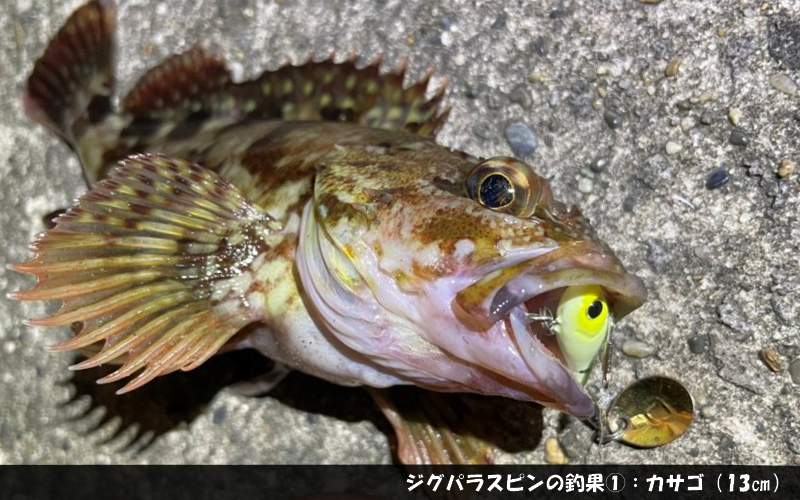 安すぎて不安 ジグパラスピンという激安スピンテールジグ インプレまとめ シアターカミカゼ