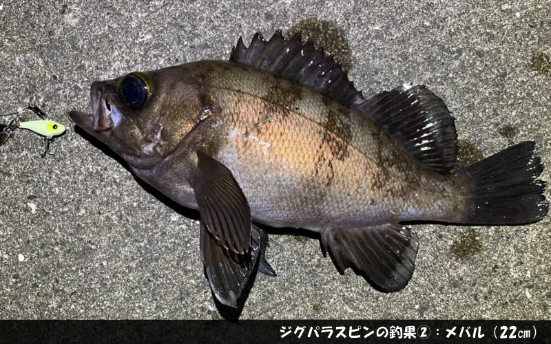 安すぎて不安 ジグパラスピンという激安スピンテールジグ インプレまとめ シアターカミカゼ