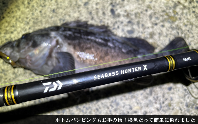 色々釣れる 21シーバスハンターx 実釣インプレ評価 シーバス以外にも シアターカミカゼ