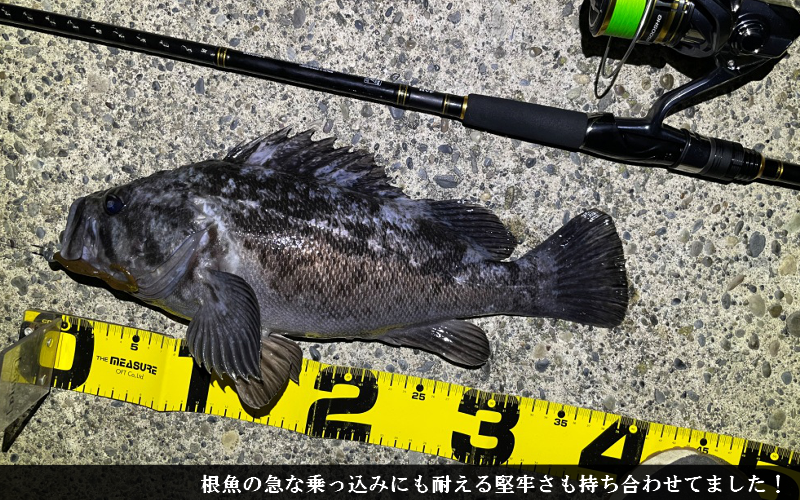 色々釣れる 21シーバスハンターx 実釣インプレ評価 シーバス以外にも シアターカミカゼ