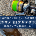 【い、1万円台?!】21アルテグラが流石にズルい件【実釣インプレ評価】
