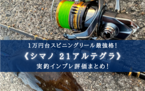 値下げ　Shimano 21アルテグラc2000 早い者勝ち 分解】爆売れの予感！名機となるのか？シマノの本気を徹底解説